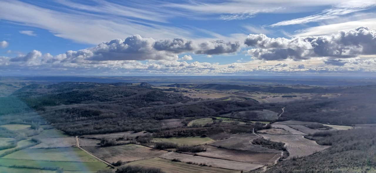 WhatsApp Image 2026-02-10 at 11.24.08 (3)